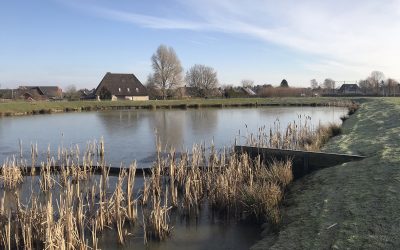Wilster Pond
