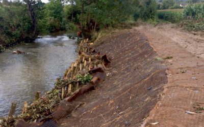 Brongain-foot-bridge