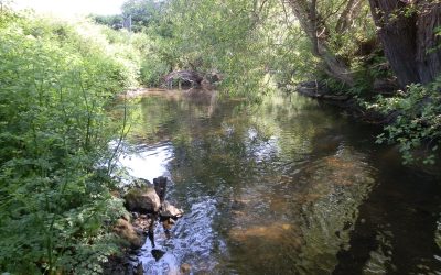 Brongain-foot-bridge eroded embankment