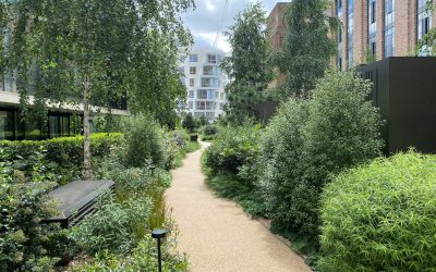 Battersea-Power-Station trees Landscape path next to Krwafttwerk Battersea UK